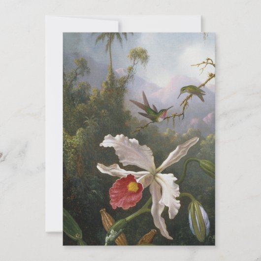 Cartes Pour Fêtes Annuelles Martin Johnson Heade - Deux colibris (Devant)