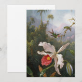 Cartes Pour Fêtes Annuelles Martin Johnson Heade - Deux colibris (Devant / Derrière)