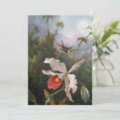 Cartes Pour Fêtes Annuelles Martin Johnson Heade - Deux colibris (Debout devant)