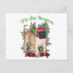 Cartes Pour Fêtes Annuelles Mastiff 2 "Tis