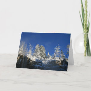 Cartes Pour Fêtes Annuelles Matin d'hiver gelé