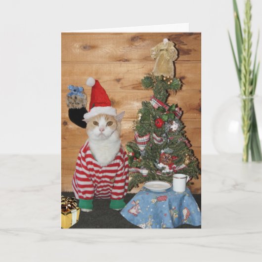 Cartes Pour Fêtes Annuelles Matin drôle de chat/Noël de Kitty (Devant)