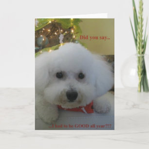 Cartes Pour Fêtes Annuelles "M'avez-vous dit dû être BONS toute l'année ? "
