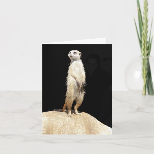 Cartes Pour Fêtes Annuelles Meerkat Love (Devant)