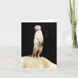 Cartes Pour Fêtes Annuelles Meerkat Love