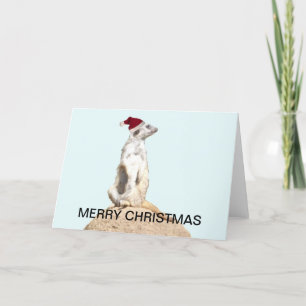 Cartes Pour Fêtes Annuelles Meerkat Père Noël