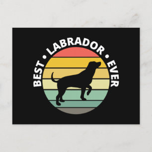 Cartes Pour Fêtes Annuelles Meilleur Rétro du Labrador Lab