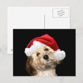 Cartes Pour Fêtes Annuelles Mélange de canicules Noël (Devant / Derrière)