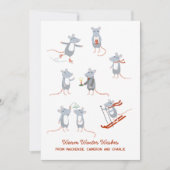 Cartes Pour Fêtes Annuelles Mélange d'hiver (Devant)