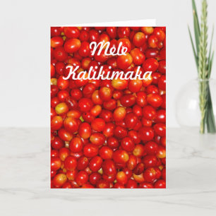 Cartes Pour Fêtes Annuelles Mele Kalikimaka