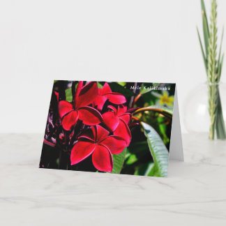 Cartes Pour Fêtes Annuelles Mele Kalikimaka Plumeria