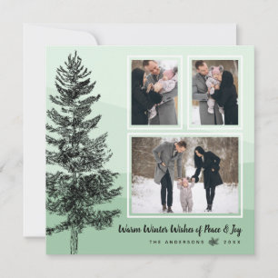 Cartes Pour Fêtes Annuelles Menthe Rustique Pine Tree Mint 3-Photo Collage Sal