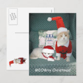 Cartes Pour Fêtes Annuelles MEOWry Noël ! (Devant / Derrière)