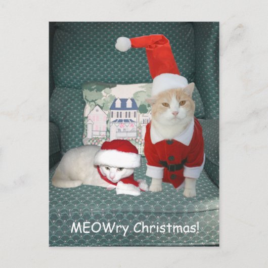 Cartes Pour Fêtes Annuelles MEOWry Noël ! (Devant)