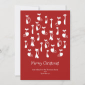 Cartes Pour Fêtes Annuelles Meowy christmas cat (Devant)
