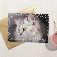 Meowy Christmas Cat Lover Holiday Photo Card