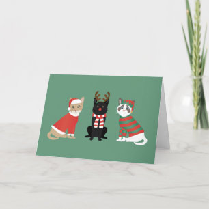Cartes Pour Fêtes Annuelles Meowy Christmas Cats