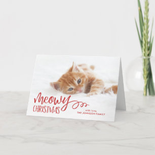 Cartes Pour Fêtes Annuelles Meowy Christmas Chat Pet Photo