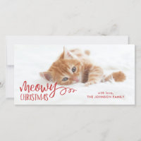 Meowy Christmas Chat Pet Photo