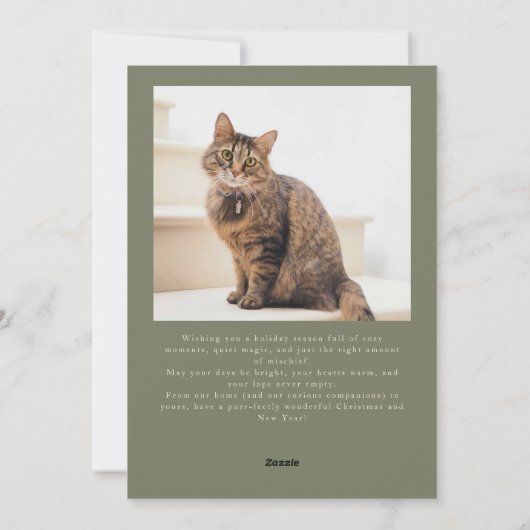 Cartes Pour Fêtes Annuelles Meowy Christmas Chat Photos Sage Green Noël (Dos)