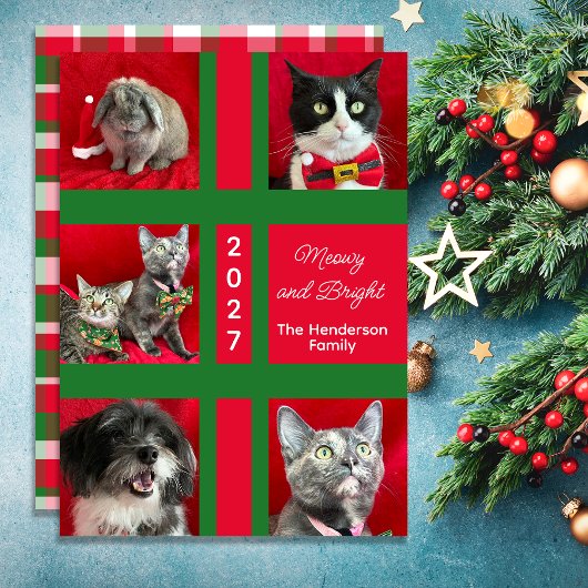 Cartes Pour Fêtes Annuelles Meowy Christmas Multi Five Cat Photo