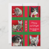 Cartes Pour Fêtes Annuelles Meowy Christmas Multi Five Cat Photo (Devant)