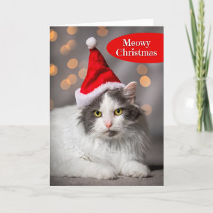 Cartes Pour Fêtes Annuelles Meowy Joyeux Noël Pour Tout Adorable Chat en Père 