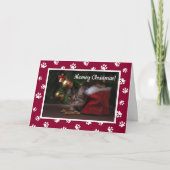 Cartes Pour Fêtes Annuelles Meowy Noël ! Fun White Empreintes de pattes photo (Devant)