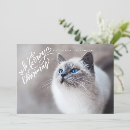 Cartes Pour Fêtes Annuelles Meowy Noël Lettering Chat photo complète (Debout devant)