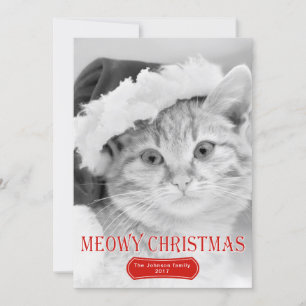 Cartes Pour Fêtes Annuelles Meowy Noël rouge chaton animal de compagnie photo 