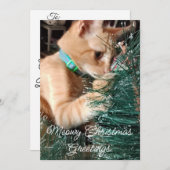 Cartes Pour Fêtes Annuelles Meowy Noël Salutations, Chat, Photo Et Texte, (Devant / Derrière)