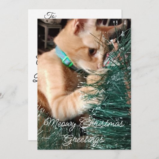 Cartes Pour Fêtes Annuelles Meowy Noël Salutations, Chat, Photo Et Texte, (Devant / Derrière)