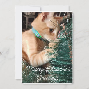 Cartes Pour Fêtes Annuelles Meowy Noël Salutations, Photo Et Texte, Personnali