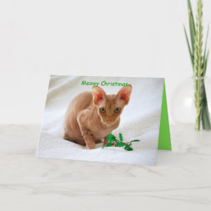 Cartes Pour Fêtes Annuelles Meowy Noël Sphinx Chat