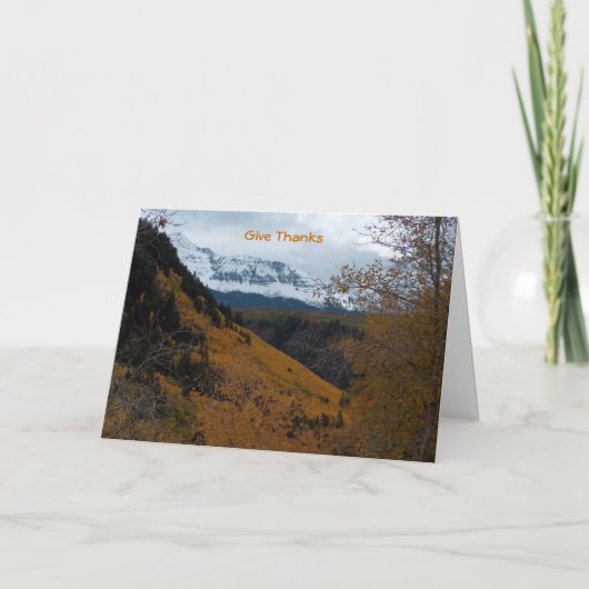 Cartes Pour Fêtes Annuelles Merci (Devant)