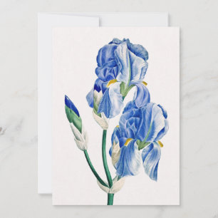 Cartes Pour Fêtes Annuelles Merci bleu irlandais