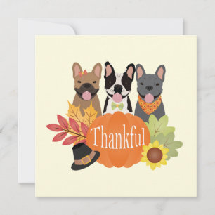 Cartes Pour Fêtes Annuelles Merci Bulldogs français Thanksgiving