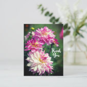 Cartes Pour Fêtes Annuelles Merci de fleur Dahlia rose et blanc (Debout devant)