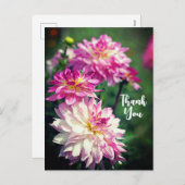 Cartes Pour Fêtes Annuelles Merci de fleur Dahlia rose et blanc (Devant / Derrière)