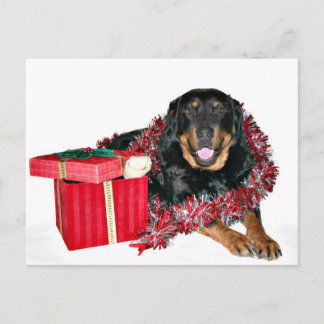 Cartes Pour Fêtes Annuelles Merci Père Noël