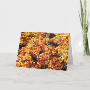 Cartes Pour Fêtes Annuelles Mères d'automne