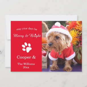 Cartes Pour Fêtes Annuelles Merry & Bright Custom Christmas Pet Photo Card