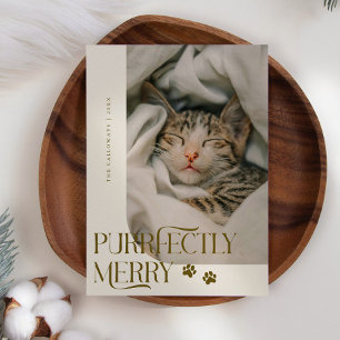 Cartes Pour Fêtes Annuelles Merry Cat Photo Crème Noël