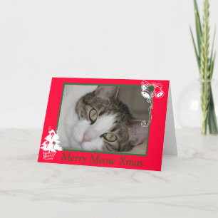 Cartes Pour Fêtes Annuelles Merry Cat's Meow Christmas