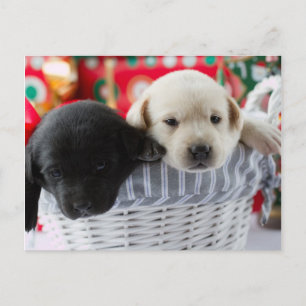 Cartes Pour Fêtes Annuelles Merry Christmas