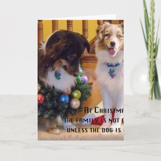 Cartes Pour Fêtes Annuelles Merry Christmas Aussies (Devant)