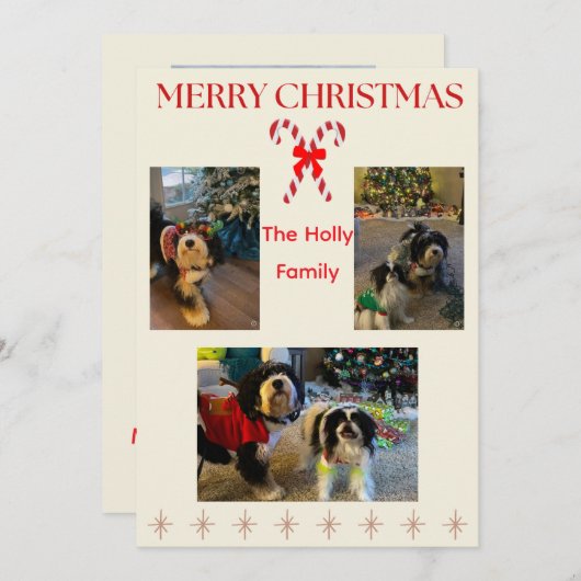 Cartes Pour Fêtes Annuelles Merry Christmas Candy Cane and Twinkle Card (Devant / Derrière)