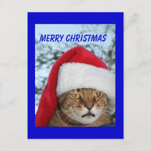 Cartes Pour Fêtes Annuelles MERRY CHRISTMAS Cat