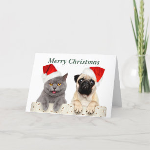 Cartes Pour Fêtes Annuelles Merry Christmas Cat and Carlin dog