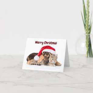 Cartes Pour Fêtes Annuelles Merry Christmas Cat and Dog holiday card